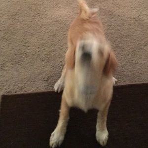 Meet your Posher, Meranda